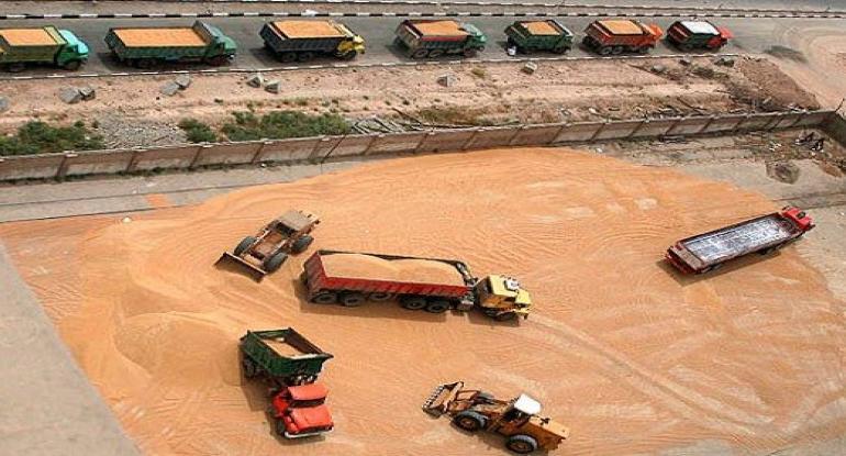 خرید ۶۰۷ هزار تن گندم از کشاورزان کردستانی