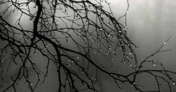 بارش در ۵ استان بیش از ۵۰ درصد کاهش دارد