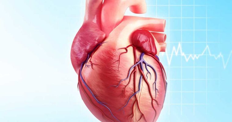 قلب‌هایی که زود از تپش می‌افتند///در حال تکمیل