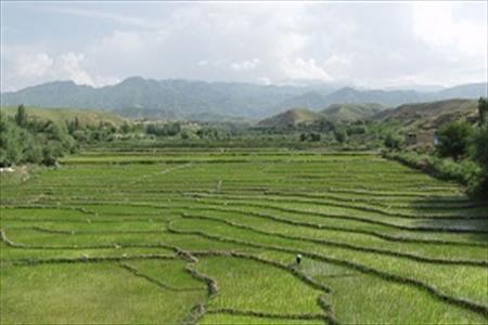 دریافت سند موقوفه میلیاردی در داراب