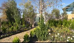 صدور 94 هکتار پروانه راه اندازی گلخانه  در گنبدکاووس