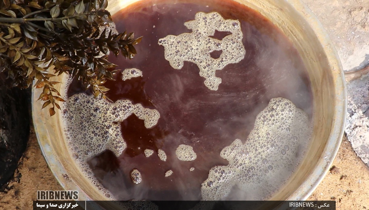 اربا دوشاب گیلان، عصاره ای از دل میوه گس جنگلی