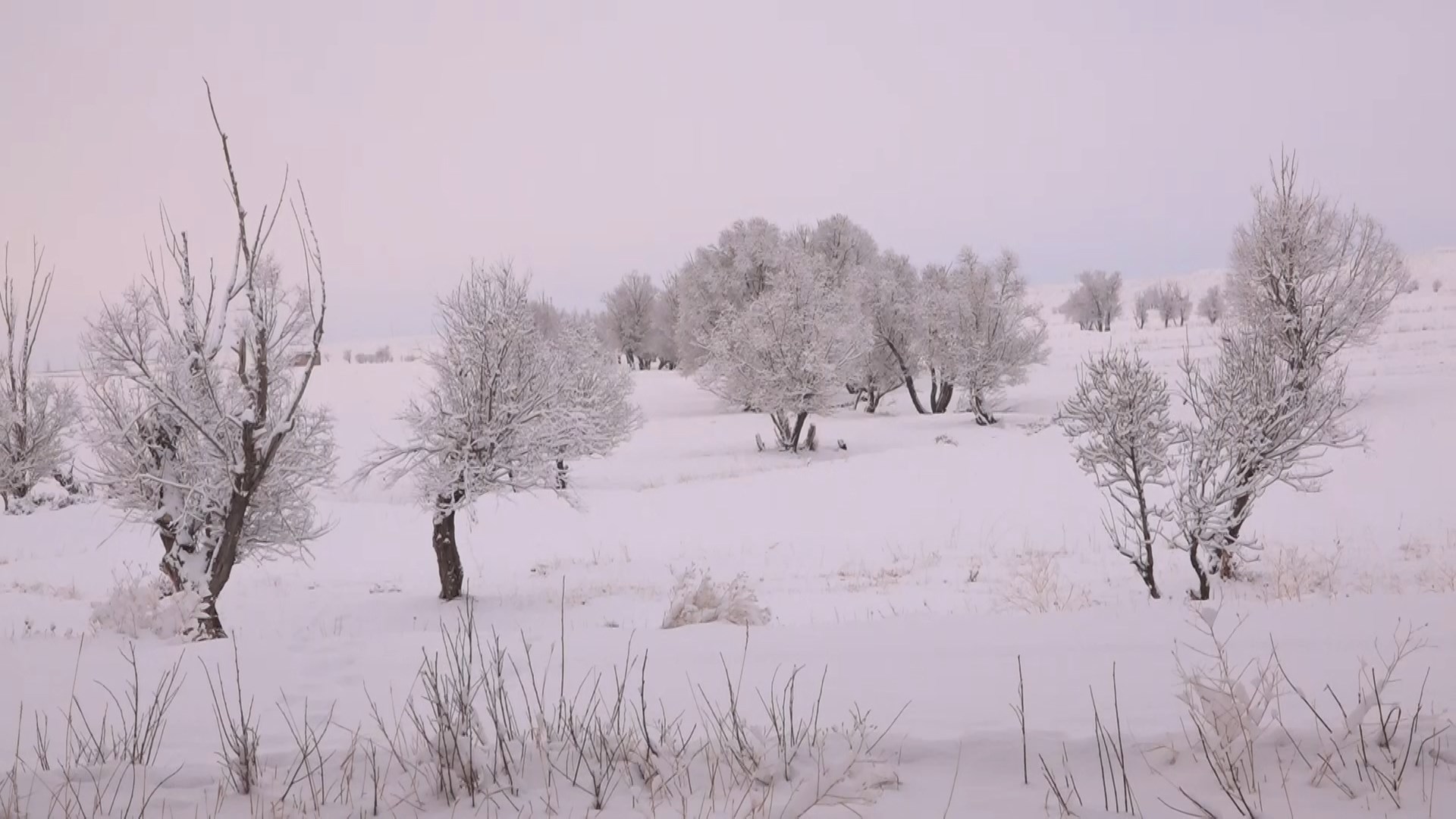 بارش 10 سانتیمتر برف در شهرها و روستاهای بوئین میاندشت بارش 10 سانتیمتر برف در شهرها و روستاهای بوئین میاندشت