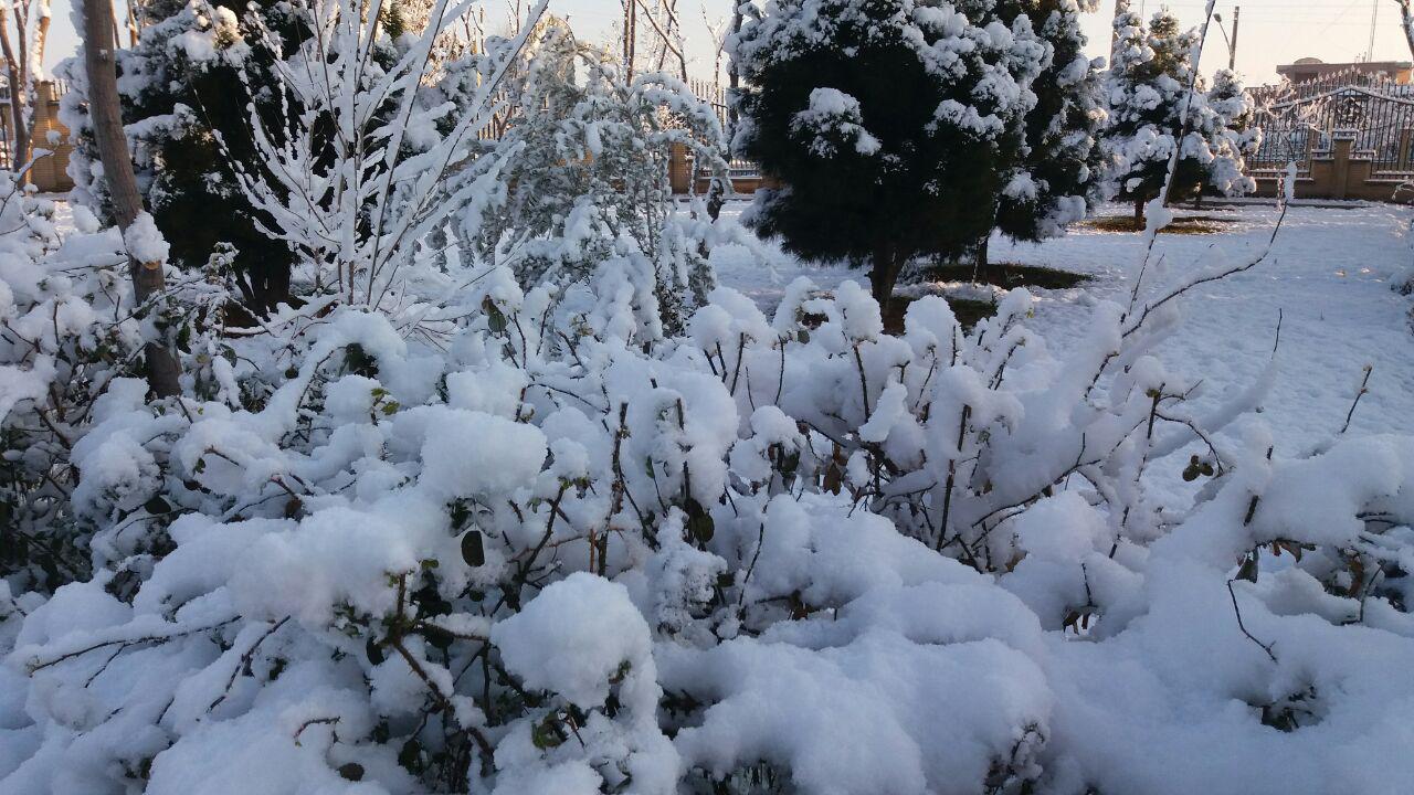 پربازدید ترین اخبار استان در چهاردهم دی