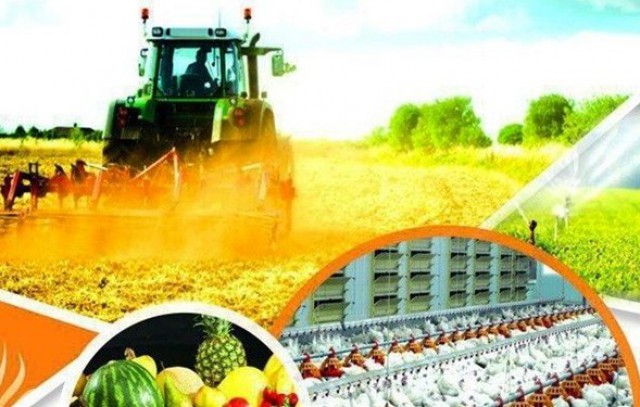 آموزش و پژوهش کلید تحول در کشاورزی