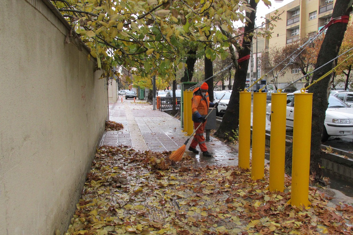 جمع آوری ۷۹۰ تن برگ درخت برای تبدیل به کود برگ در شیراز جمع آوری ۷۹۰ تن برگ درخت برای تبدیل به کود برگ در شیراز