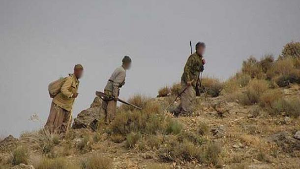 ابطال پروانه شکار و جریمه دو شکارچی در فریمان