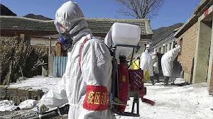 چین ۱۷ هزار پرنده را معدوم کرد