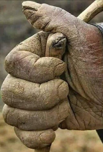 می شود‌ بی‌تفاوت رد‌ شد‌ و چيزی ند‌يد‌؟