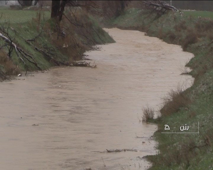 وجود ۹۰۵ هزار هکتار جنگل حاشیه جاده‌ها در همدان