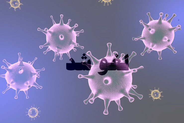 تعطیلی تمامی فعالیت های ورزشی تا نیمه اسفندماه