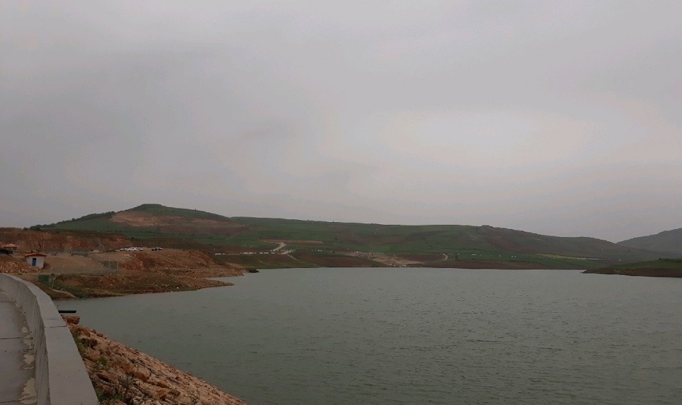 مهمان ناخوانده و کوچ اجباری صاحبخانه