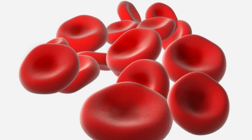 شناسایی ۴۰ بیمار مبتلا به تالاسمی در خراسان شمالی