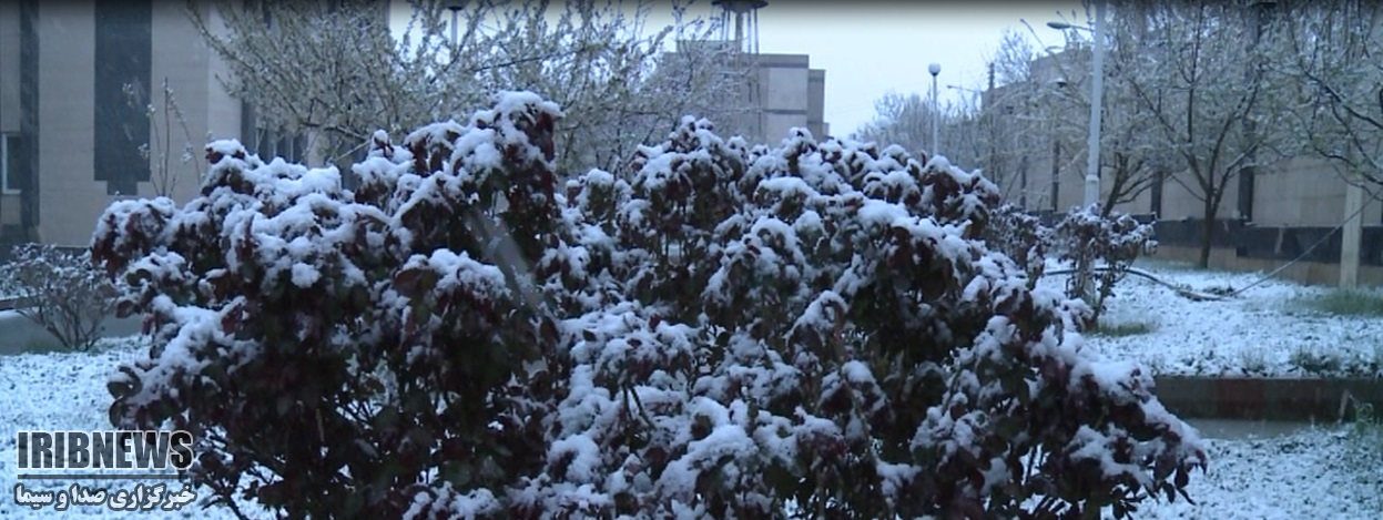 جلوه زمستان در بانه