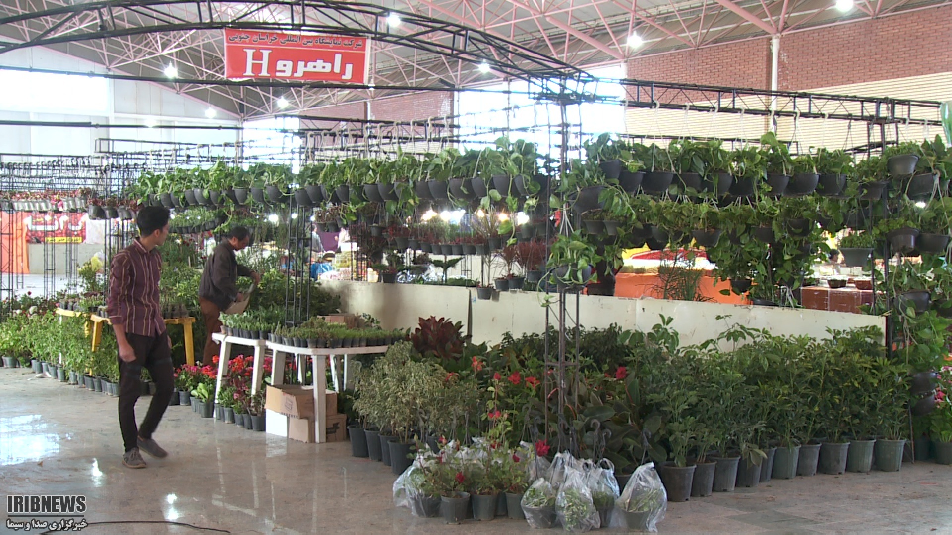 برپایی نمایشگاه گل و گیاه در بیرجند