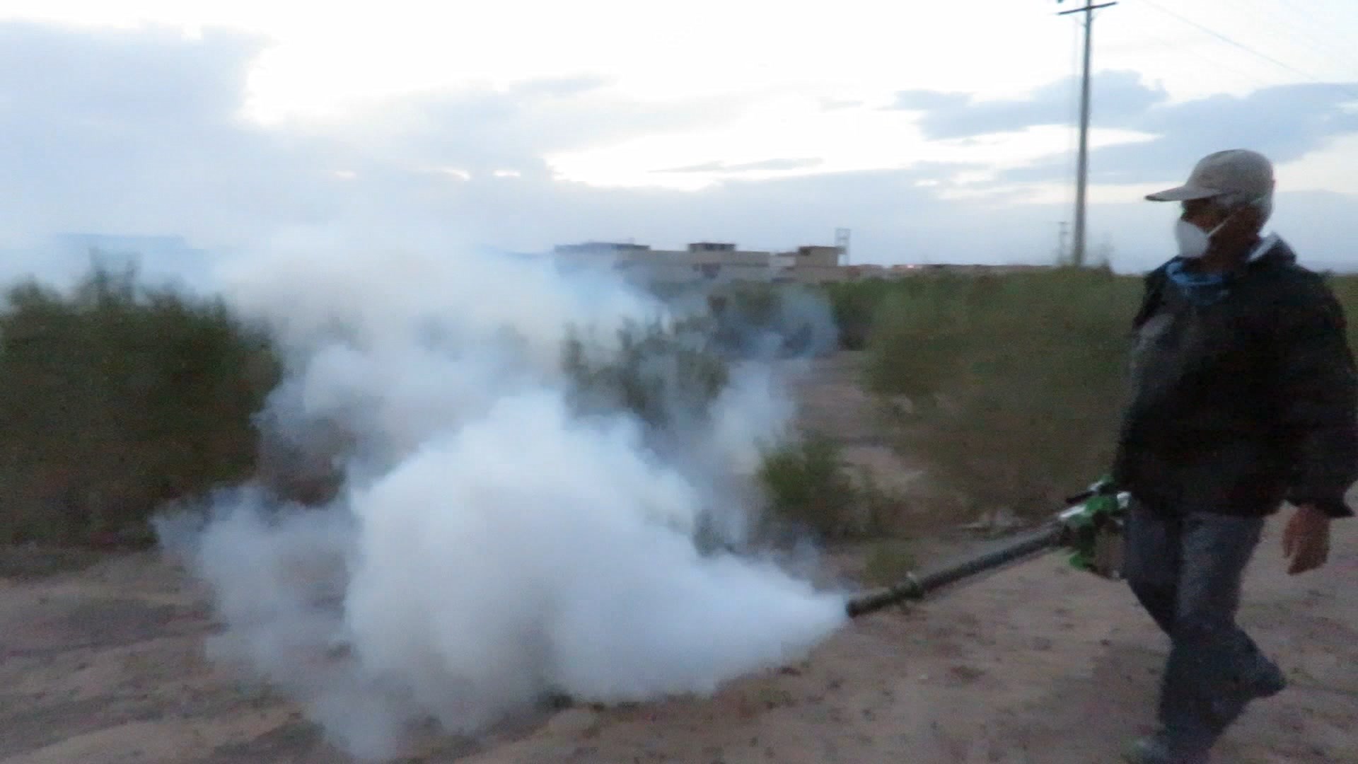 سم  پاشی اراضی ورزنه برای مقابله با بیماری سالک