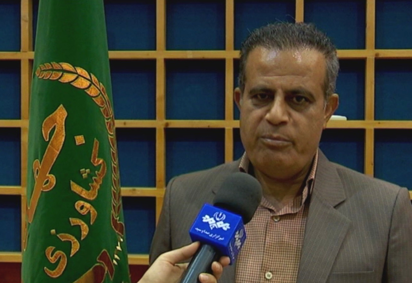 کاهش جمعیت ملخ‌های صحرایی در استان بوشهر