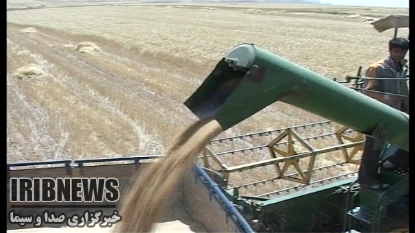 گشایش سیلوهای زنجان  به روی خوشه های طلایی