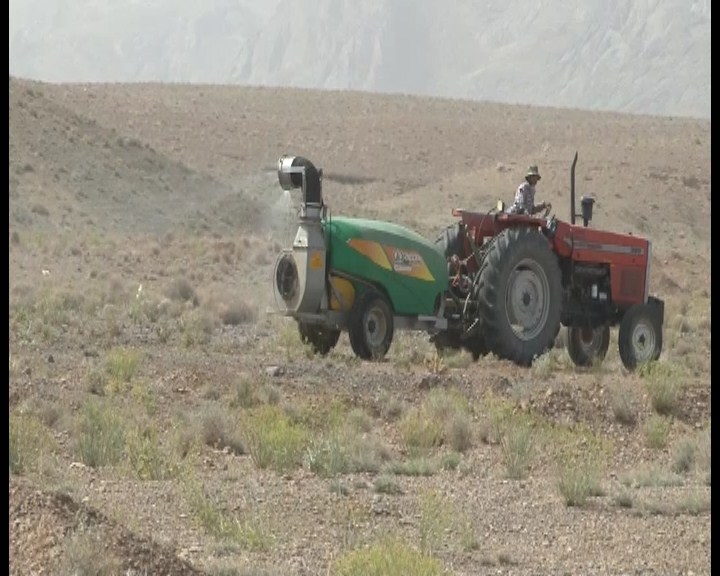جلوگیری از هجوم ملخها به اراضی کشاورزی تیران و کرون جلوگیری از هجوم ملخها به اراضی کشاورزی تیران و کرون