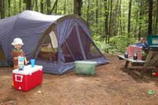 مازندران آماده میزبانی از مسافران تابستانی