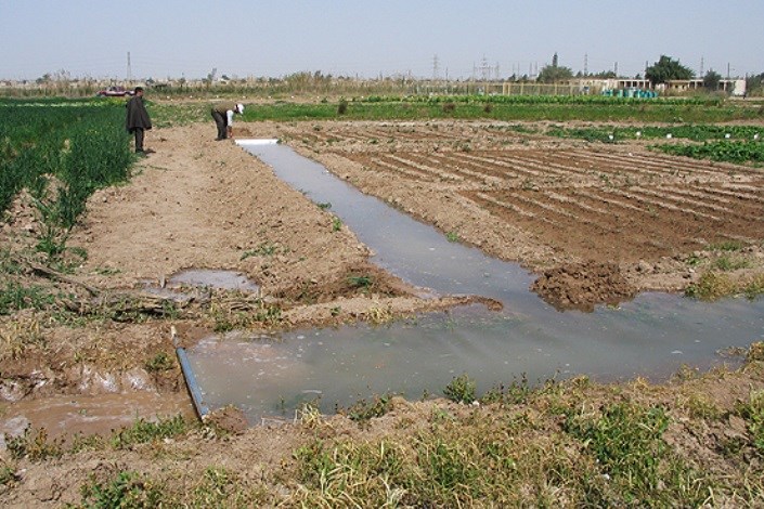 سبزی‌کاری با آب آلوده ممنوع