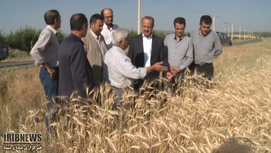 تخصیص اعتبار برای تعاونیهای کشاورزی در کردستان تخصیص اعتبار برای تعاونیهای کشاورزی در کردستان