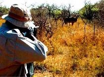 شکارچیان متخلف در دام قانون شکارچیان متخلف در دام قانون