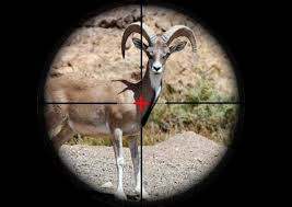 شلیک در منطقه ممنوعه