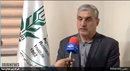 واگذاری فناوری تولید بذر جدید به بخش خصوصی