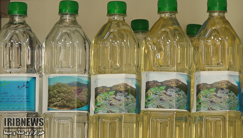 گیاهان دارویی؛ از مزرعه تا خانه