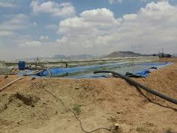 مرگی به راحتی آب خوردن