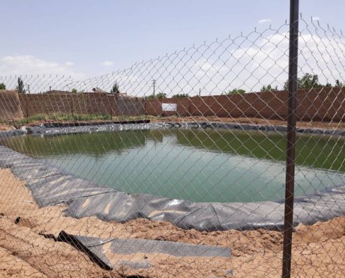 مرگی به راحتی آب خوردن