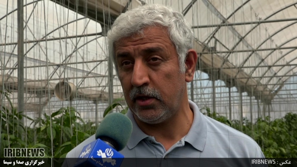 پارس آباد در مسیر تبدیل شدن به قطب کشت گلخانه ای کشور