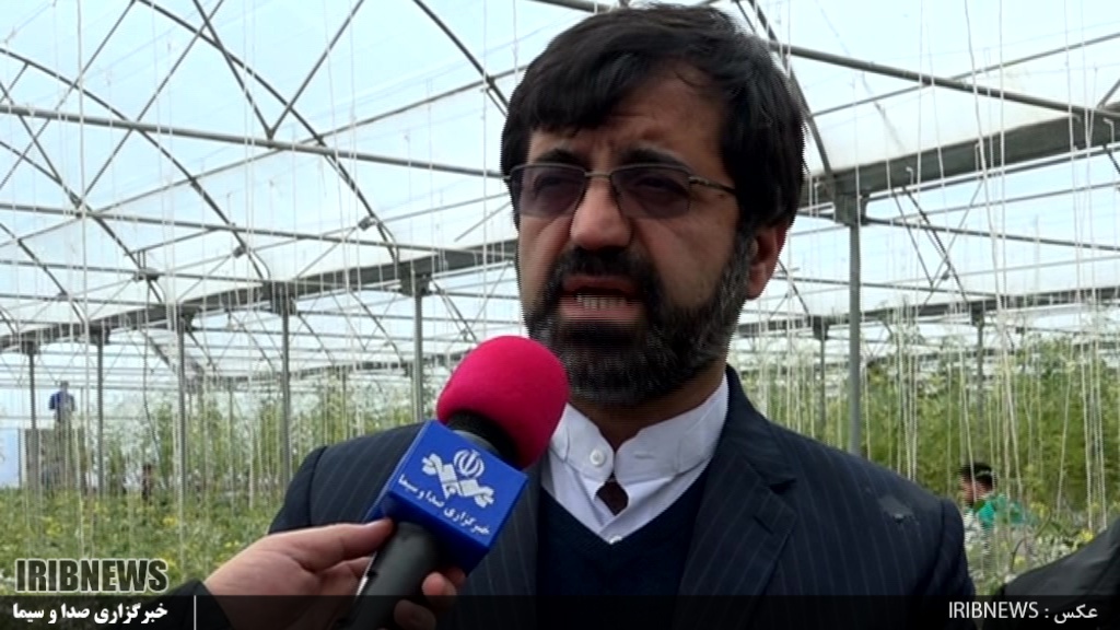 پارس آباد در مسیر تبدیل شدن به قطب کشت گلخانه ای کشور
