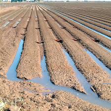 توسعه پایدار با طرحهای نوین کشاورزی(لطفا منتشر نشود) توسعه پایدار با طرحهای نوین کشاورزی(لطفا منتشر نشود)