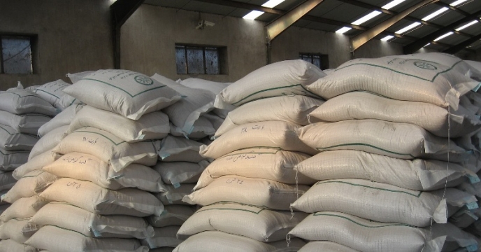 توزیع بذر مورد نیاز کشاورزان توزیع بذر مورد نیاز کشاورزان