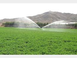 اختصاص بیش از 2 هزار میلیارد ریال به سامانه‌های نوین آبیاری خراسان رضوی