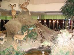 ثبت جهانی موزه علم و طبیعت