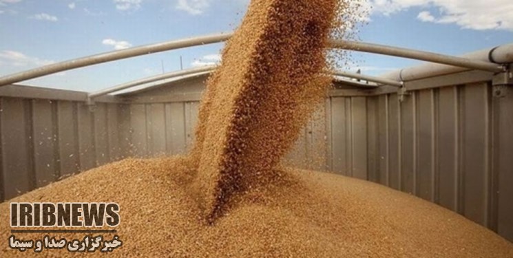 تسویه غله زنجان با گندمکاران تسویه غله زنجان با گندمکاران