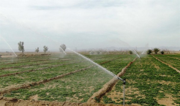 اجرای ۶۲۴ هکتار سامانه آبیاری نوین در درمیان