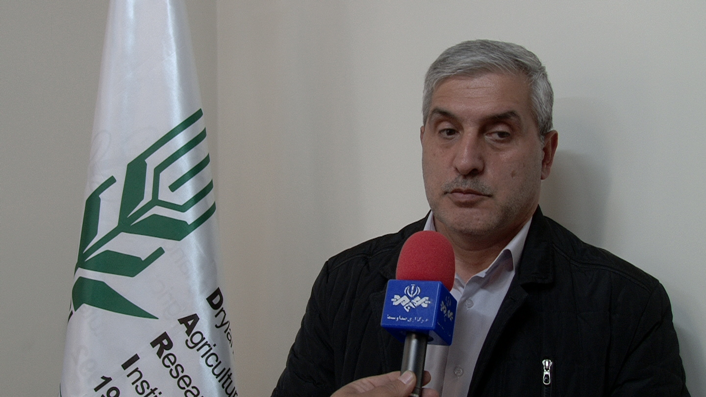 تولید هسته های بذری غلات و حبوبات دیم در داخل کشور