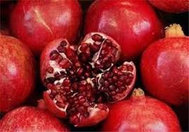 برپایی جشنواره محصولات باغی در خاوران