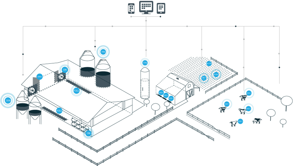 اینترنت اشیا