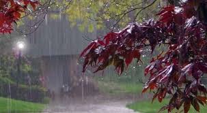 ارتفاعات استان بارانی می شود