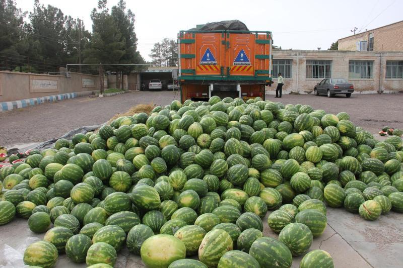 هندوانههای یلدا رسید هندوانههای یلدا رسید