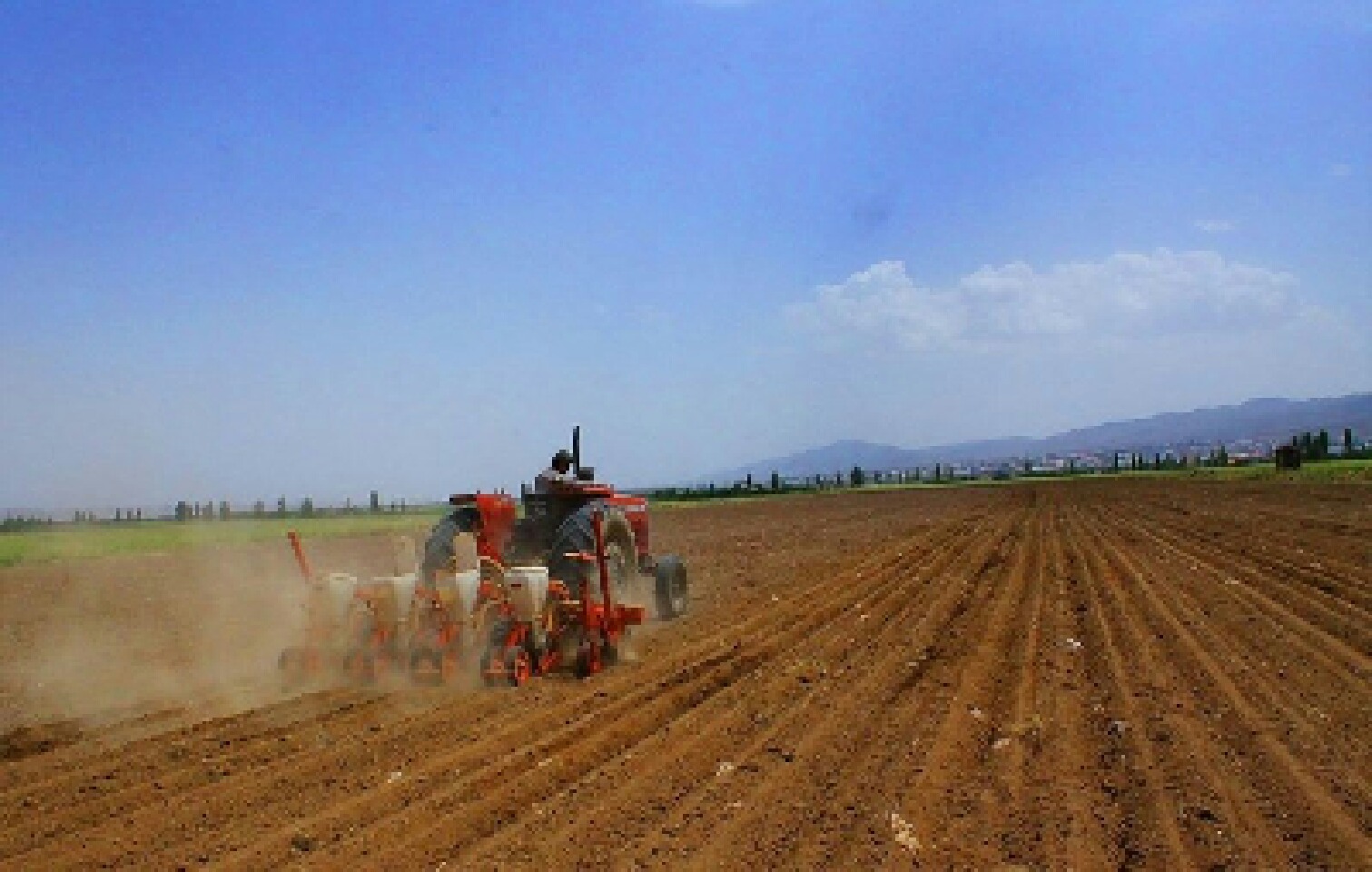 افزایش سطح زیر کشت مکانیزه غلات در تایباد