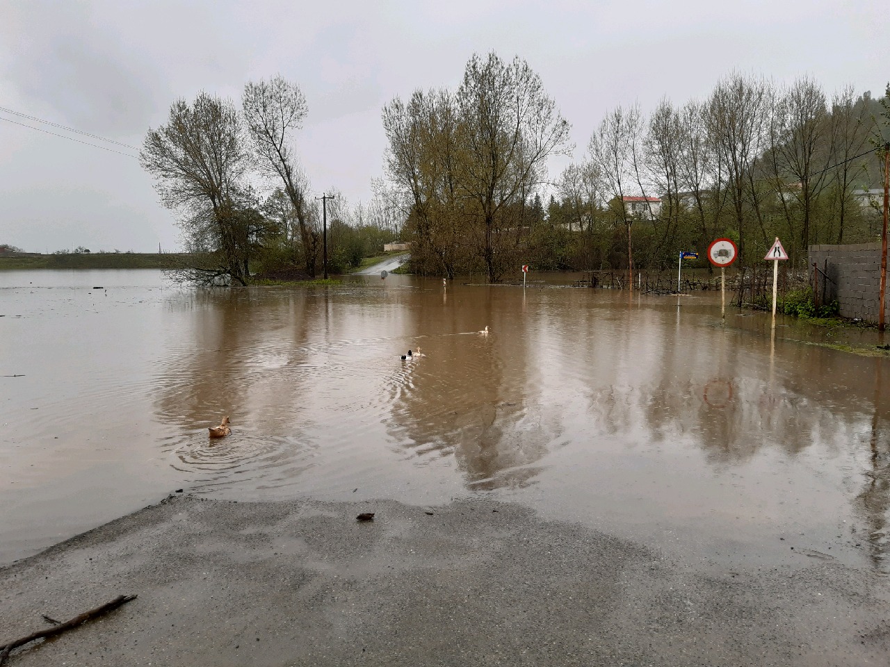 بارش شدید باران و آبگرفتگی معابر  در 2 شهرستان