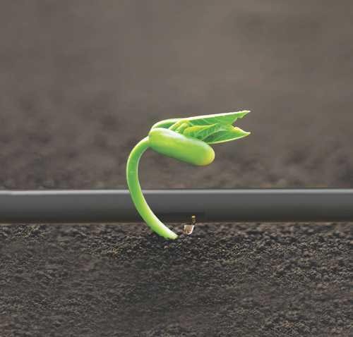 جهش تولید با آبیاری نوین(در حال تکمیل) جهش تولید با آبیاری نوین(در حال تکمیل)