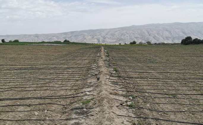 جهش تولید با آبیاری نوین جهش تولید با آبیاری نوین