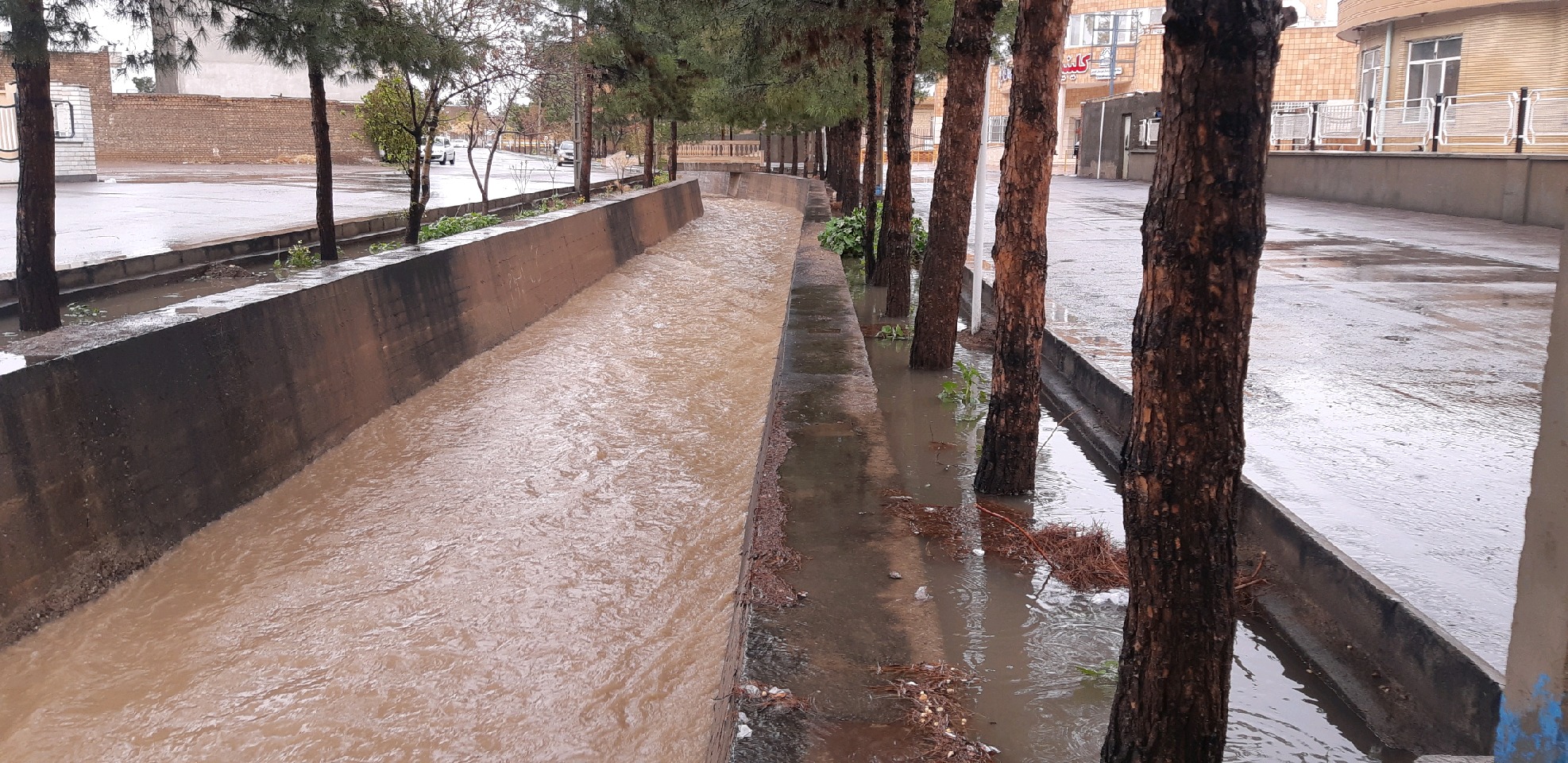 نجات 60 نفر گرفتار در سیلابهای خراسان جنوبی نجات 60 نفر گرفتار در سیلابهای خراسان جنوبی